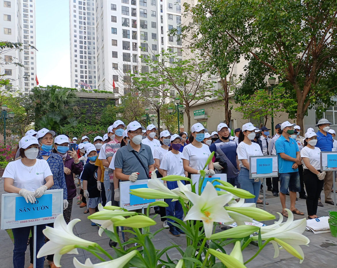 CNX_daidien_tonghop (1)